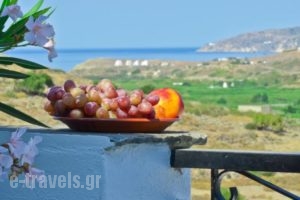 Naxosloxenia Agrotourism Hotel_holidays_in_Hotel_Cyclades Islands_Naxos_Naxos chora