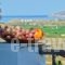 Naxosloxenia Agrotourism Hotel_holidays_in_Hotel_Cyclades Islands_Naxos_Naxos chora