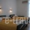 Katefiani Villas_lowest prices_in_Villa_Cyclades Islands_Sandorini_Perissa