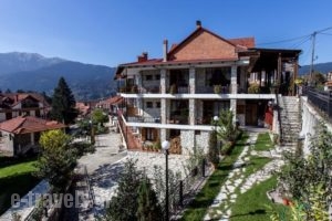 Hotel Dryades_accommodation_in_Hotel_Thessaly_Trikala_Elati