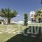 Creta Vivere Villas_best prices_in_Villa_Crete_Heraklion_Ammoudara