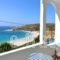 Albatros Studios & Apartments_lowest prices_in_Apartment_Dodekanessos Islands_Karpathos_Karpathosora