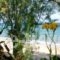 Kassimiotis_travel_packages_in_Thessaly_Magnesia_Pilio Area