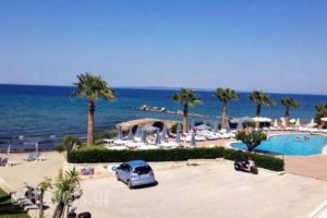 Nadia'S Studios & Apartments_best deals_Apartment_Ionian Islands_Zakinthos_Zakinthos Chora