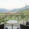 Hotel All Seasons_best deals_Hotel_Peloponesse_Achaia_Kalavryta