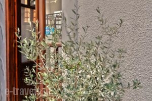 Golden Beach Studios_lowest prices_in_Hotel_Cyclades Islands_Naxos_Naxos chora