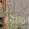 Golden Beach Studios_lowest prices_in_Hotel_Cyclades Islands_Naxos_Naxos chora