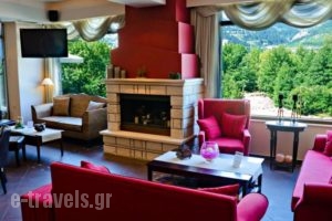 Melegos Hotel_lowest prices_in_Hotel_Central Greece_Evritania_Karpenisi