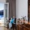 Akti Rooms_lowest prices_in_Room_Dodekanessos Islands_Astipalea_Astipalea Chora