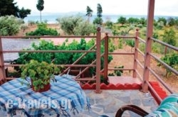 Holiday Home Astros Peloponnese_s __1