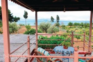 Holiday Home Astros Peloponnese_holidays_in_Hotel_Peloponesse_Arcadia_Astros