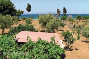 Holiday Home Astros Peloponnese_best prices_in_Hotel_Peloponesse_Arcadia_Astros