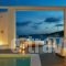 Mykonos Anc_holidays_in_Hotel_Cyclades Islands_Mykonos_Mykonos ora