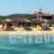 Apartments Mari_accommodation_in_Apartment_Macedonia_Halkidiki_Poligyros