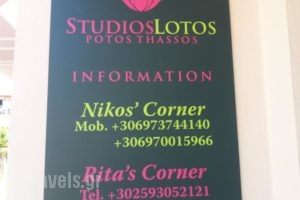 Studios Lotos_accommodation_in_Hotel_Aegean Islands_Thasos_Thasos Chora