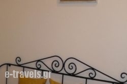 Aiolia Studios_s __1