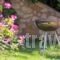 Villa Palma_best deals_Villa_Crete_Chania_Platanias