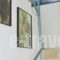 Villa Nafsika_best deals_Villa_Epirus_Preveza_Mytikas
