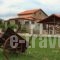 Alexander Resort_accommodation_in_Hotel_Central Greece_Fokida_Galaxidi