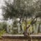 The Architect'S Villa_best prices_in_Villa_Thessaly_Magnesia_Pilio Area