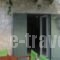 Wild Sea Apartments_best deals_Apartment_Ionian Islands_Lefkada_Lefkada Chora