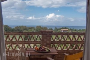 Aeolos Zante Villas_best prices_in_Villa_Ionian Islands_Zakinthos_Zakinthos Chora