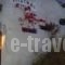 Pension Mistral_travel_packages_in_Ionian Islands_Lefkada_Lefkada Chora
