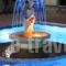 Sun City_best deals_Apartment_Crete_Chania_Daratsos
