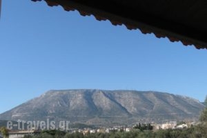 Petros Apartment_accommodation_in_Apartment_Central Greece_Attica_Alimos (Kalamaki)