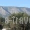Petros Apartment_holidays_in_Apartment_Central Greece_Attica_Alimos (Kalamaki)