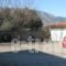Petros Apartment_best deals_Apartment_Central Greece_Attica_Alimos (Kalamaki)