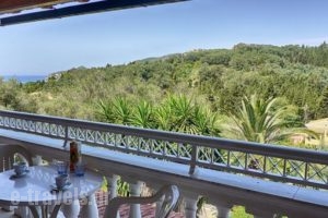 Apartments Villa Nina_holidays_in_Villa_Ionian Islands_Corfu_Afionas