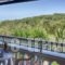 Apartments Villa Nina_holidays_in_Villa_Ionian Islands_Corfu_Afionas