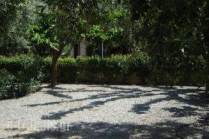 Rovies Camping_best prices_in_Room_Central Greece_Evia_Limni