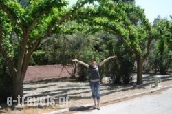 Rovies Camping_s __1
