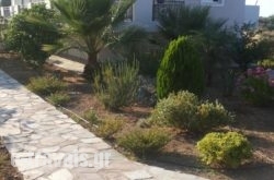 Michelakis Apartments_s __1