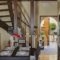 Laokontos 6_best deals_Hotel_Dodekanessos Islands_Rhodes_Rhodes Chora
