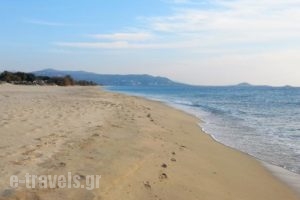 Orion Naxos' L_travel_packages_in_Cyclades Islands_Paros_Paros Chora