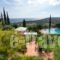 Felix Residence_best deals_Hotel_Ionian Islands_Kefalonia_Vlachata