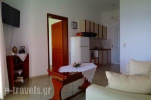Spiros Studios_best prices_in_Hotel_Epirus_Preveza_Parga