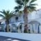 Manthos_accommodation_in_Hotel_Peloponesse_Argolida_Kranidi