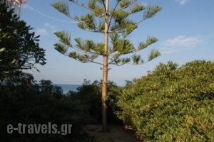 Manthos_best prices_in_Hotel_Peloponesse_Argolida_Kranidi