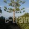 Manthos_best prices_in_Hotel_Peloponesse_Argolida_Kranidi