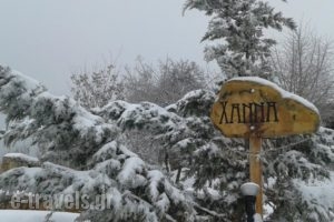 Hanna House_travel_packages_in_Peloponesse_Korinthia_Xilokastro