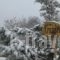 Hanna House_travel_packages_in_Peloponesse_Korinthia_Xilokastro