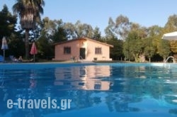 Terry Land Village_s __1
