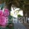 South Coast_lowest prices_in_Hotel_Crete_Lasithi_Aghios Nikolaos