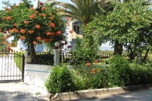 Shine Studios_best deals_Hotel_Aegean Islands_Lesvos_Kalloni