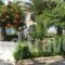 Shine Studios_best deals_Hotel_Aegean Islands_Lesvos_Kalloni