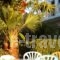 Hermis Studios_holidays_in_Hotel_Ionian Islands_Zakinthos_Laganas